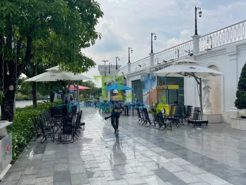 dịch vụ diệt muỗi hcm