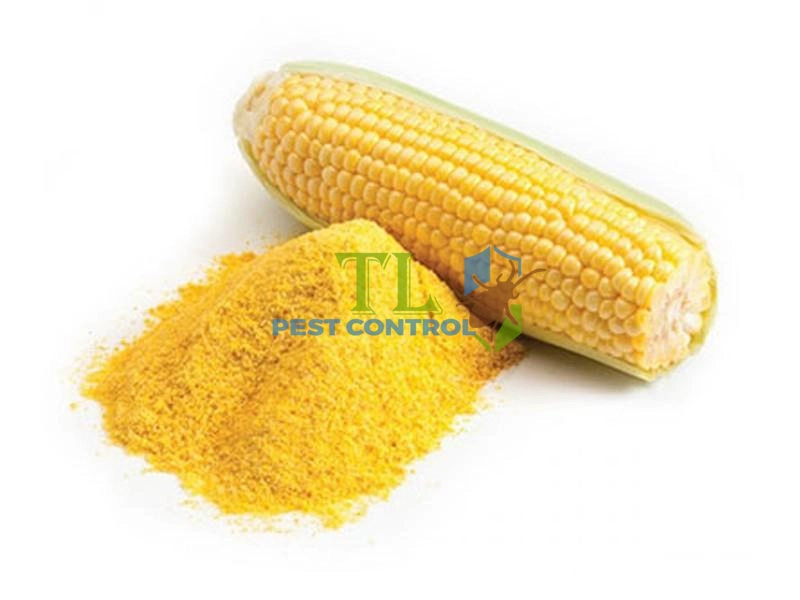 Bột ngô cũng có thể diệt kiến 