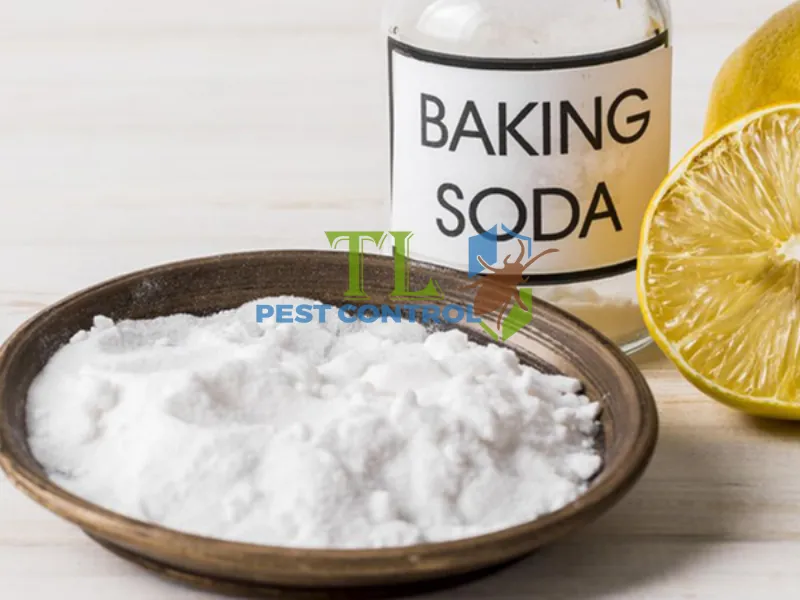 Diệt kiến bằng baking soda và đường