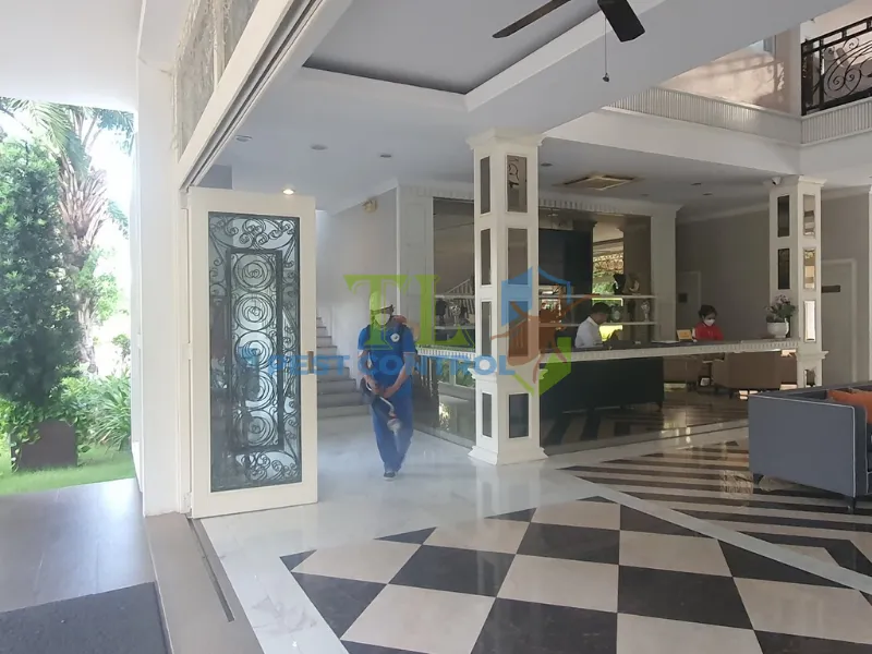 Công nghệ diệt mối an toàn cho căn hộ