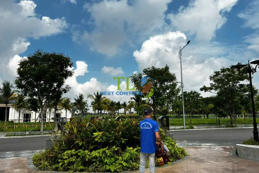 Diệt mối Phú Nhuận