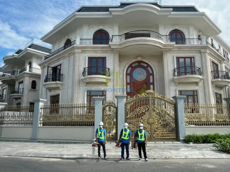 diệt côn trùng quận 6