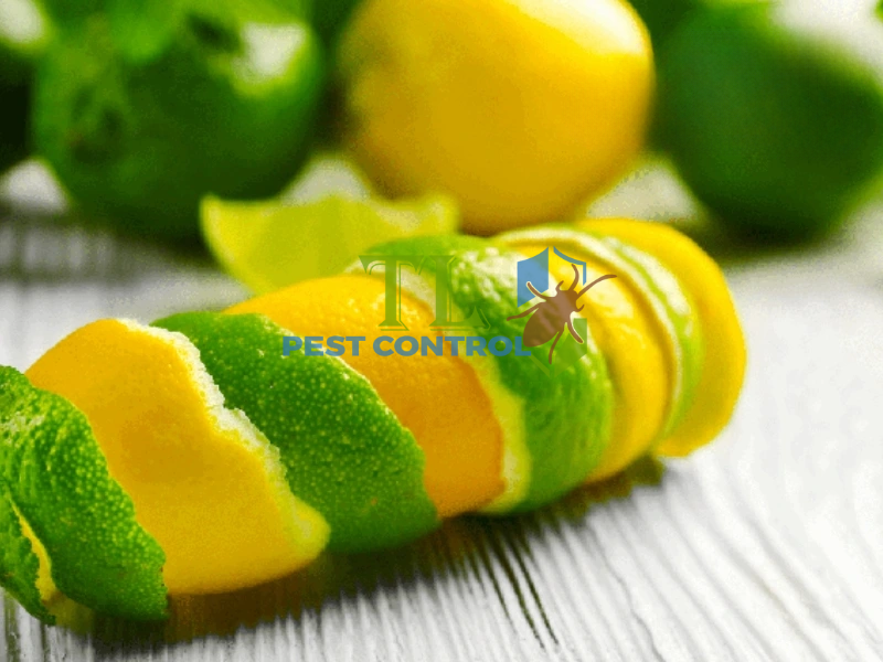 Diệt kiến bằng vỏ chanh, cam, bưởi