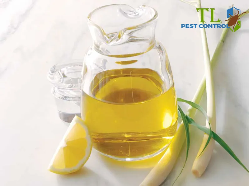 Đuổi muỗi bằng tinh dầu sả chanh