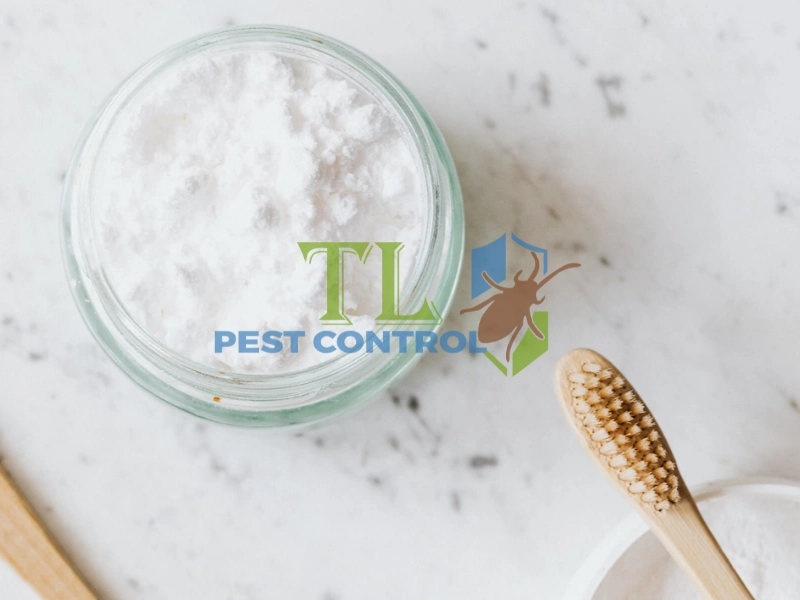 diệt mối cửa gỗ diệt mối cửa gỗ