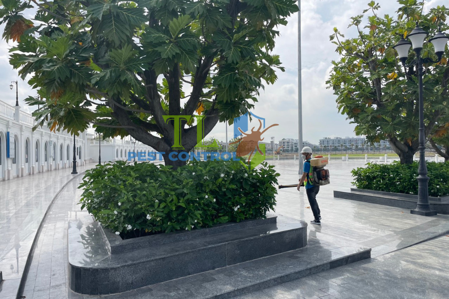 Diệt mối phường Hòa Hưng