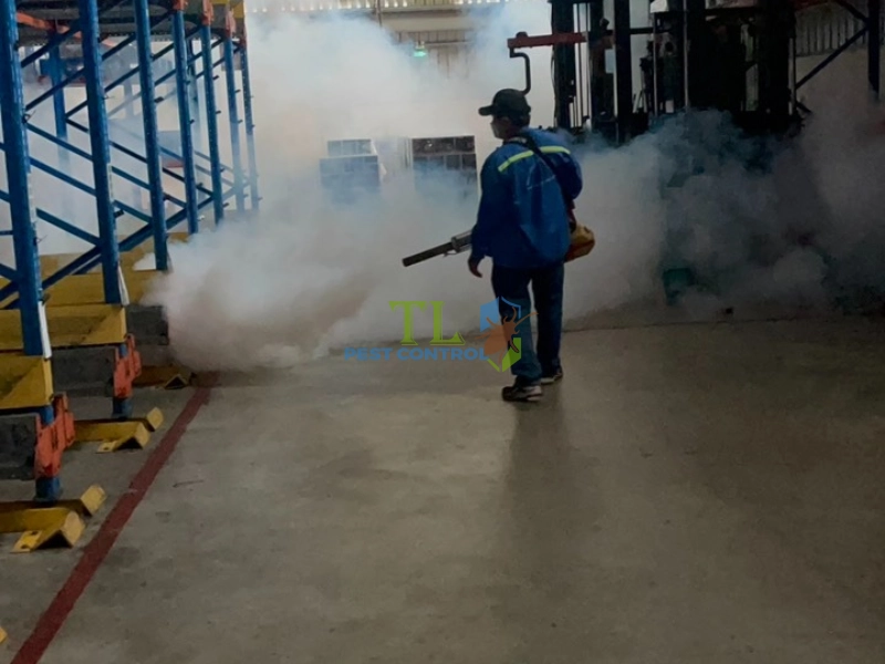 dịch vụ diệt kiến