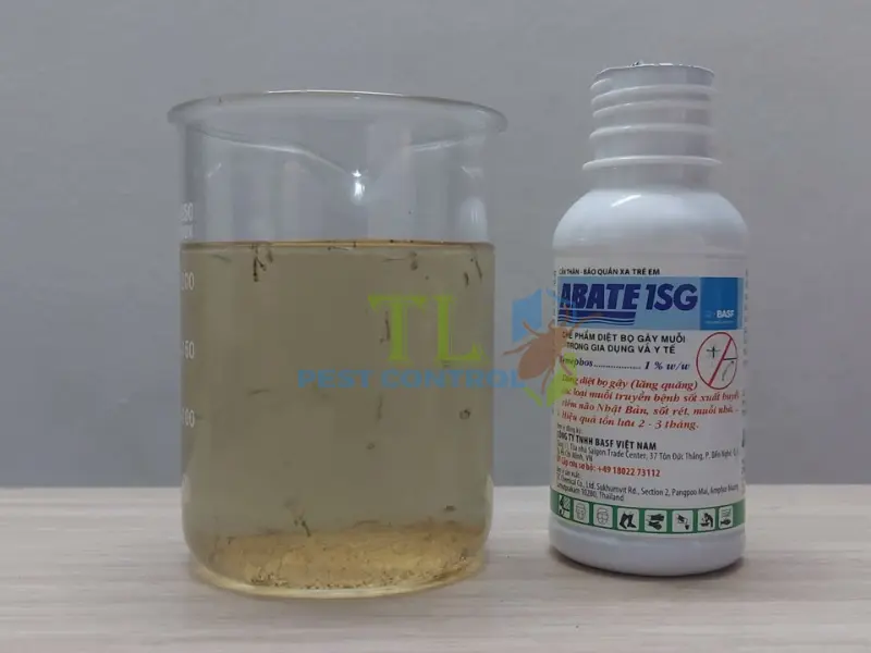 Sử dụng hóa chất diệt lăng quăng an toàn và hiệu quả