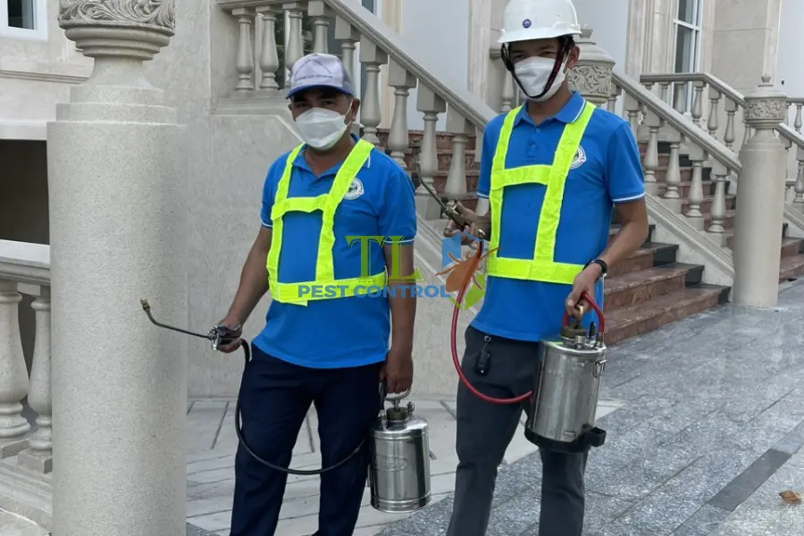 Kiểm Soát Muỗi Bằng Hóa Chất Hiệu Quả Và Cách Sử Dụng An Toàn