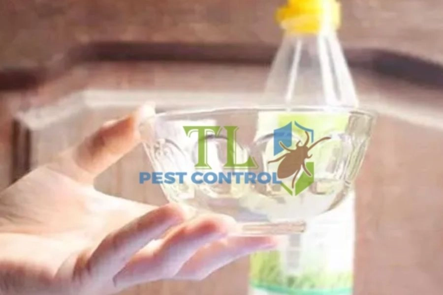 Cách Diệt Kiến Bằng Giấm Đơn Giản, Tự Nhiên Và Hiệu Quả Tức Thì