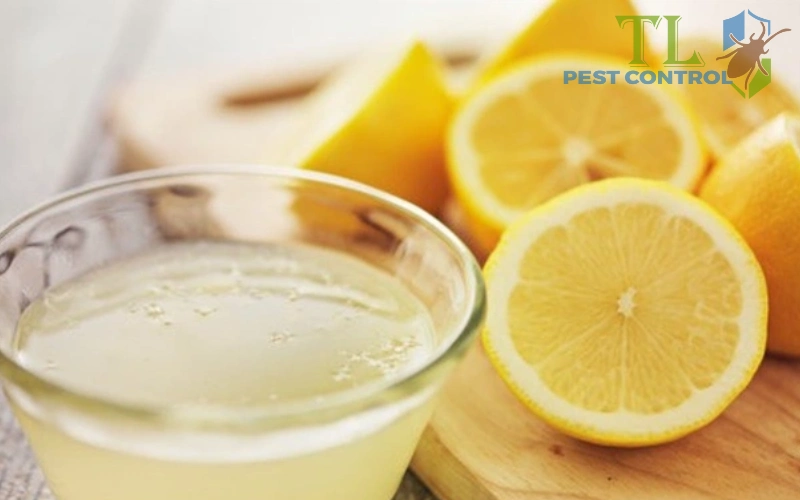 Nước cốt chanh và nước