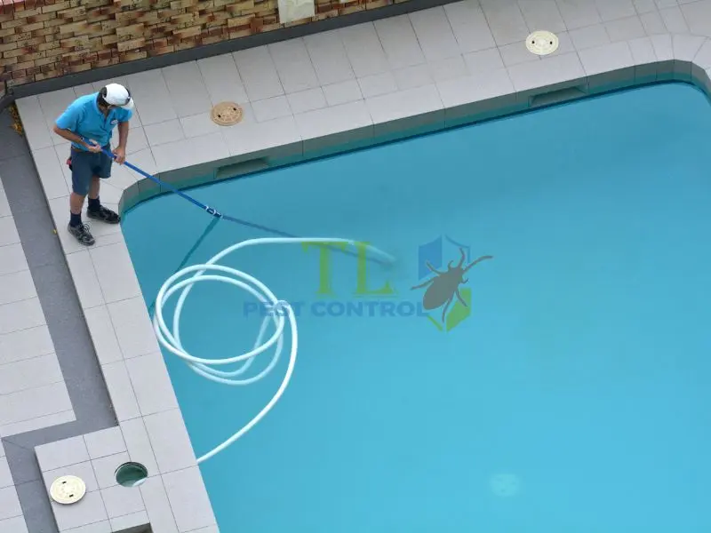  Sử dụng biện pháp vật lý để diệt muỗi, lăng quăng tức thì trong hồ bơi