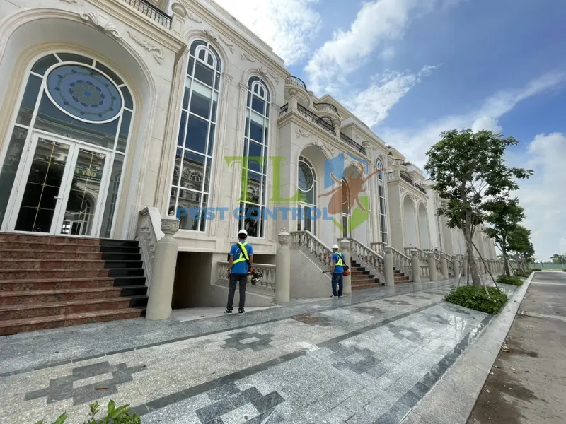 Quy trình triển khai dịch vụ diệt mối Thủ Đức chuyên nghiệp