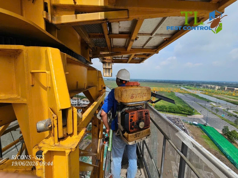 dịch vụ diệt ong