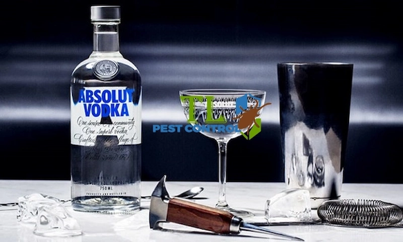 cách diệt ruồi giấm trong bếp