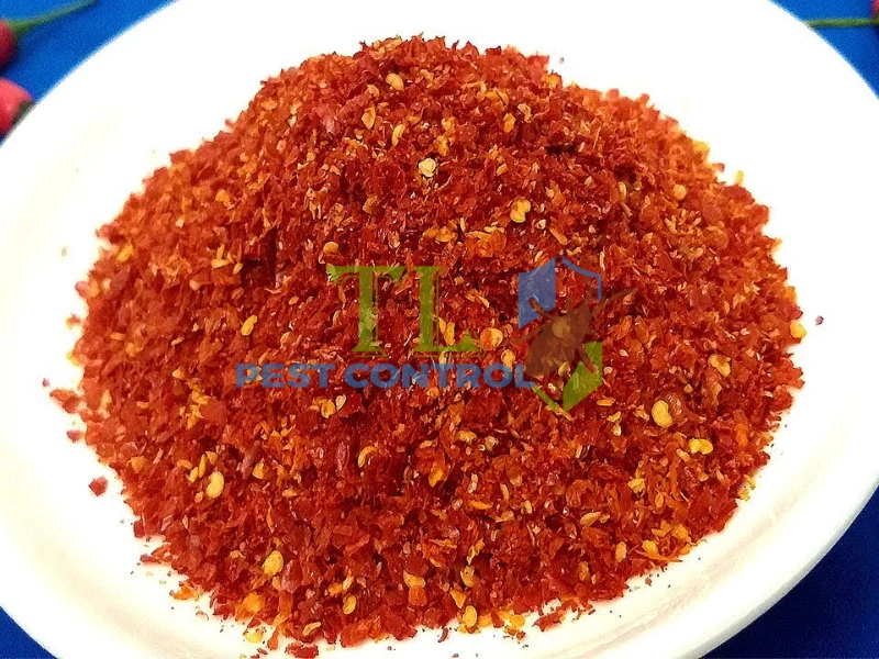 diệt mối dưới nền nhà