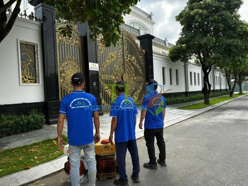 mẹo đuổi kiến lửa ra khỏi nhà