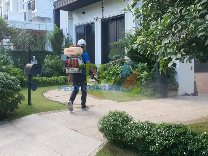 Phương pháp phun tưới trực tiếp