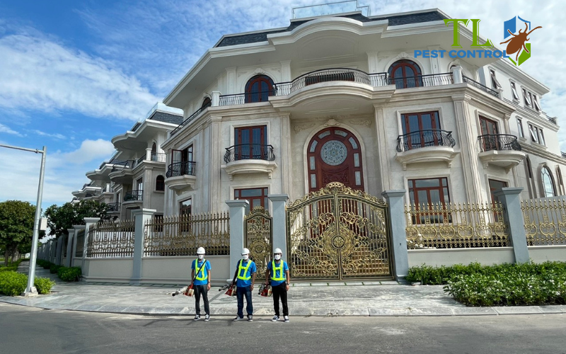 Quy trình diệt chuột chuyên nghiệp của Trần Long