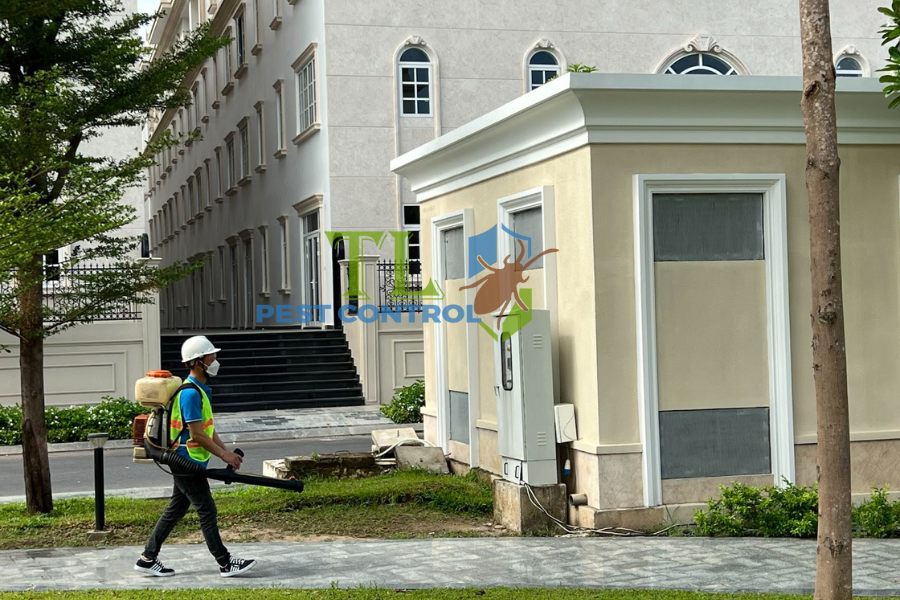 Diệt Mối Phường Tân Định