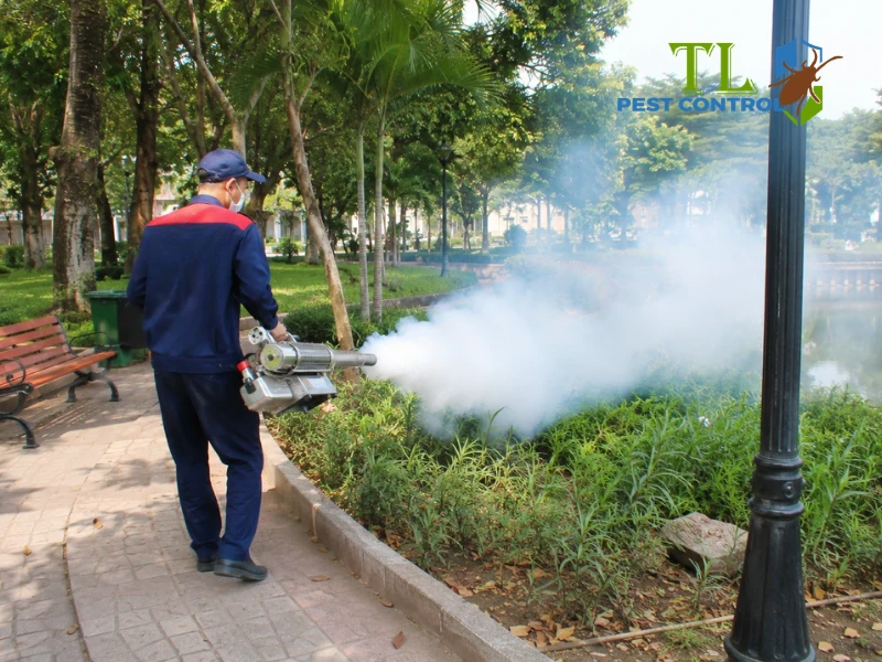 diệt muỗi công viên