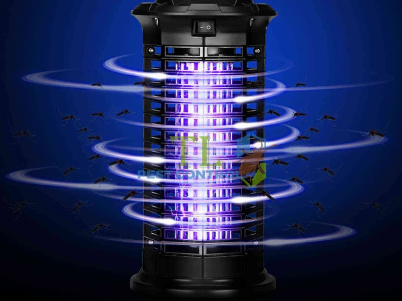 cách đuổi ruồi trong phòng ngủ cách đuổi ruồi trong phòng ngủ