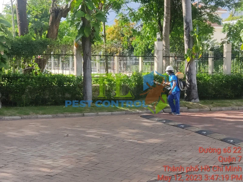 diệt mối quận 7