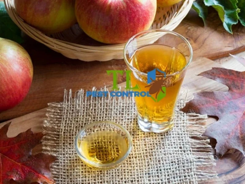 cách đuổi ruồi trong phòng ngủ cách đuổi ruồi trong phòng ngủ