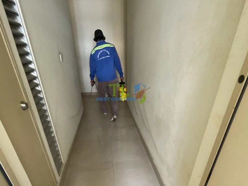 Mối có gặm dây điện không?