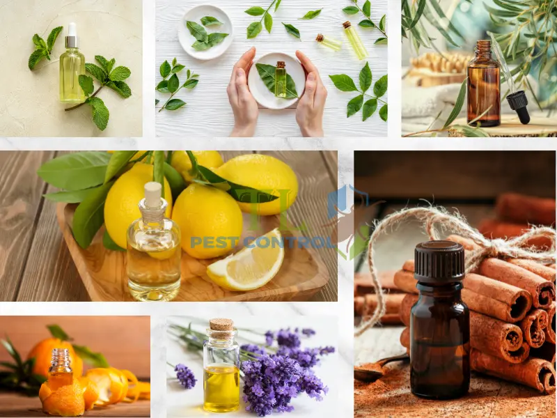 cách làm nến đuổi muỗi