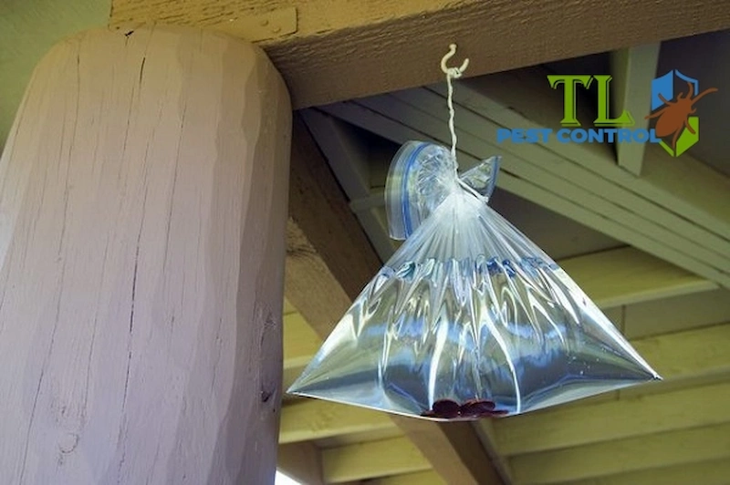 treo bịch nước đuổi ruồi treo bịch nước đuổi ruồi