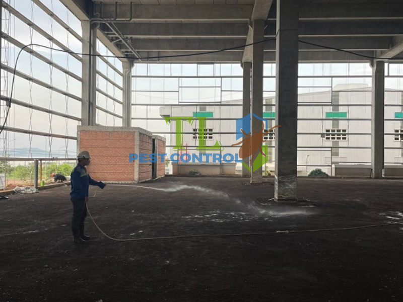 Quy trình dịch vụ diệt mối phường Phú Lâm từ Trần Long