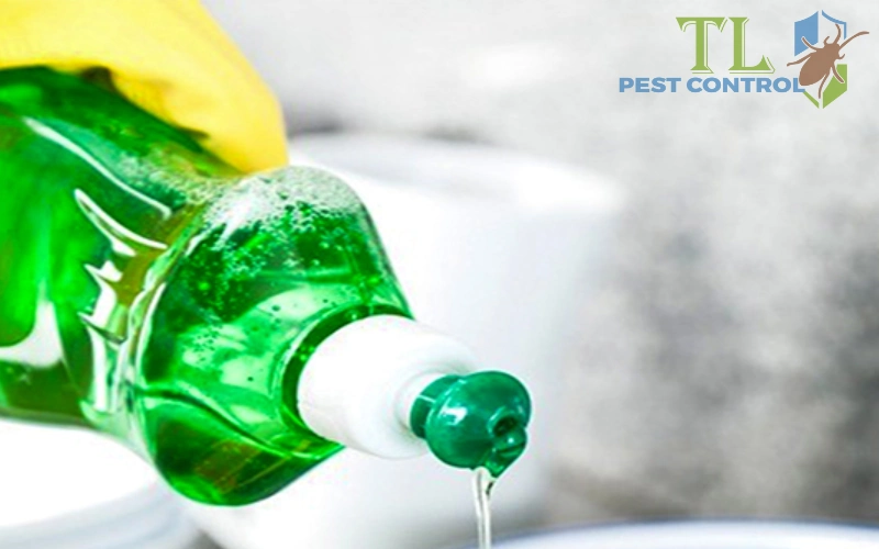 Dùng dung dịch nước xà phòng loãng