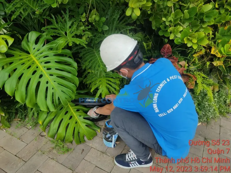 Kiểm soát muỗi bằng hóa chất