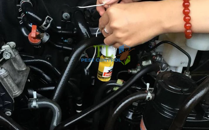 Diệt chuột bằng tinh dầu