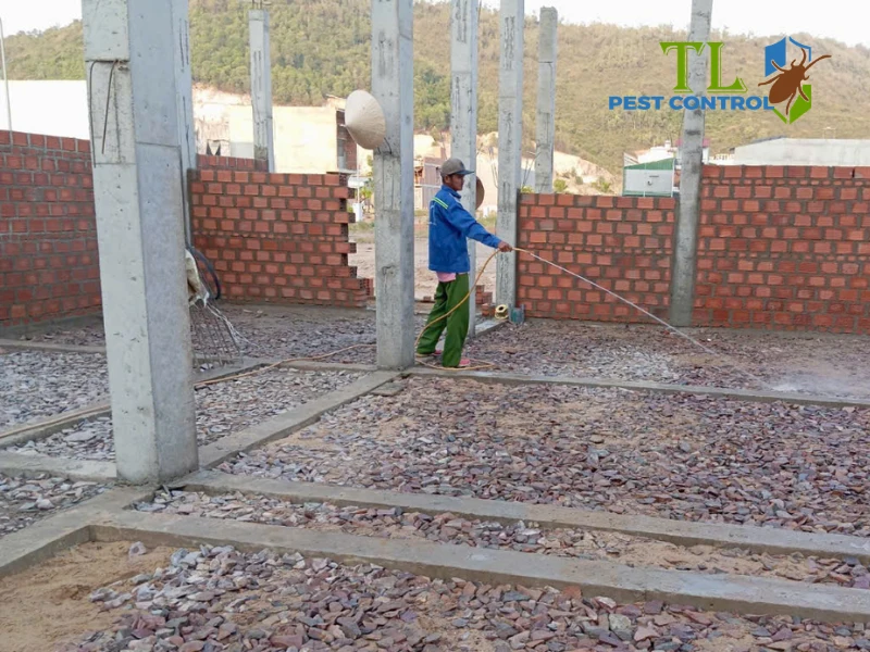 Phòng chống mối trước và sau khi xây