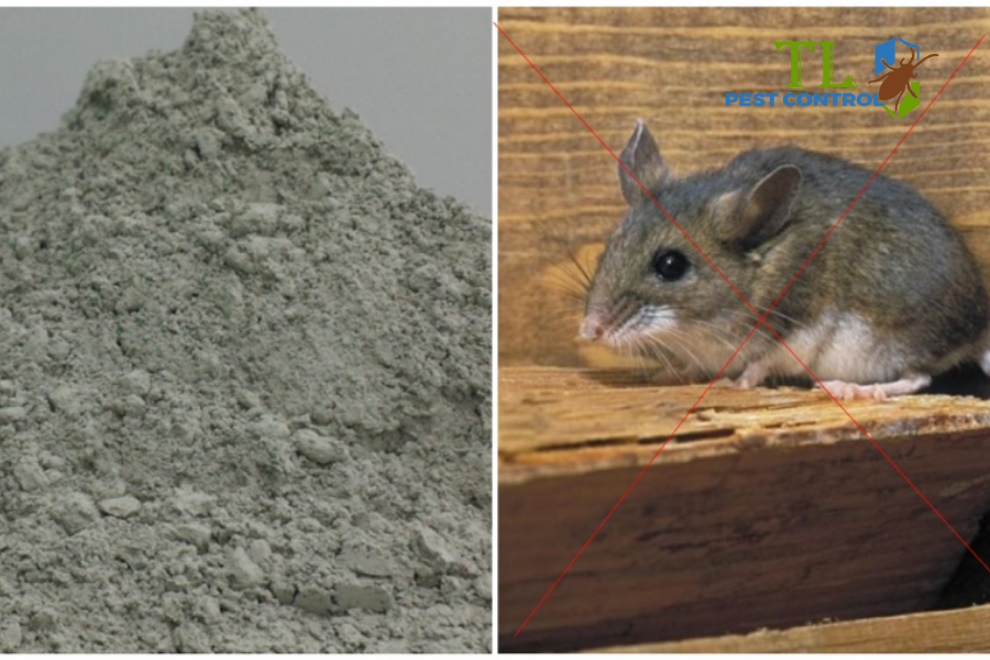 Xi măng hoặc thạch cao trộn bột mì