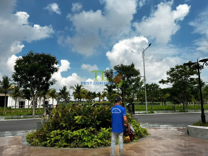 Diệt ruồi vàng trên lan