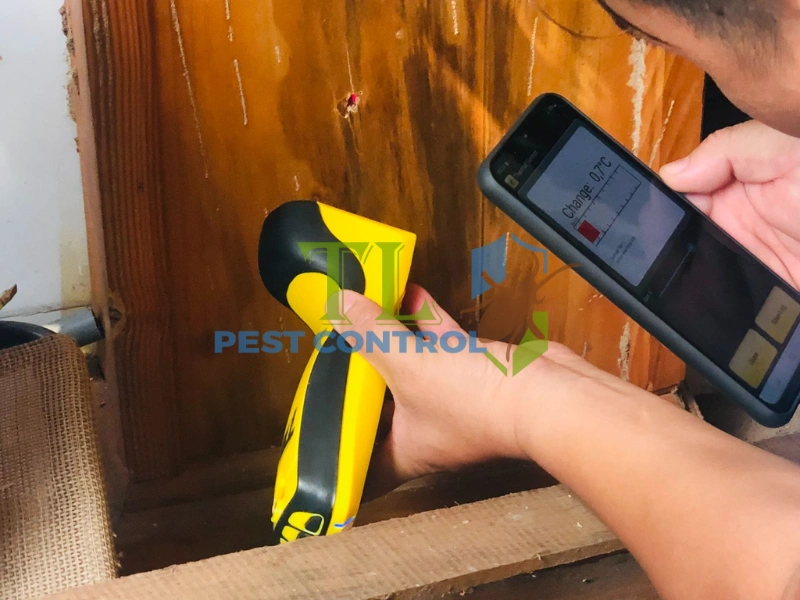 dịch vụ diệt mối quận 1