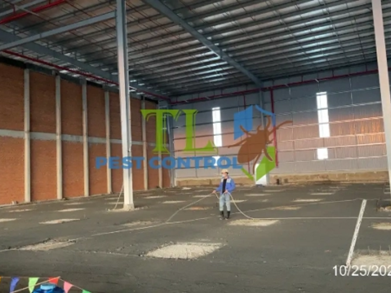 Dịch vụ phòng chống mối cho công trình tại phường Hòa Bình