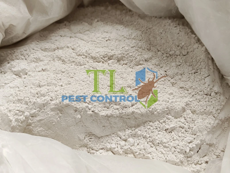 diệt mối trong tường nhà