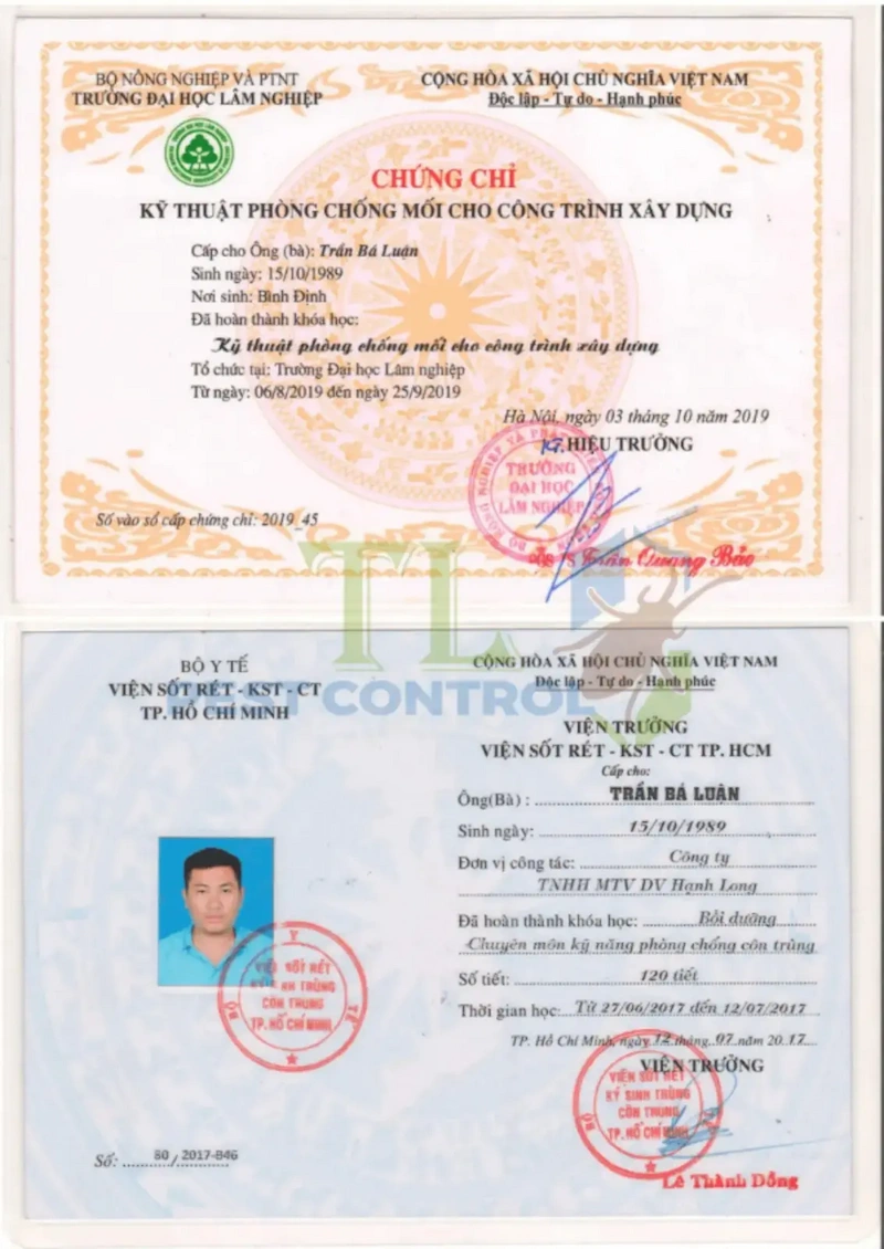 diệt mối ghe tàu