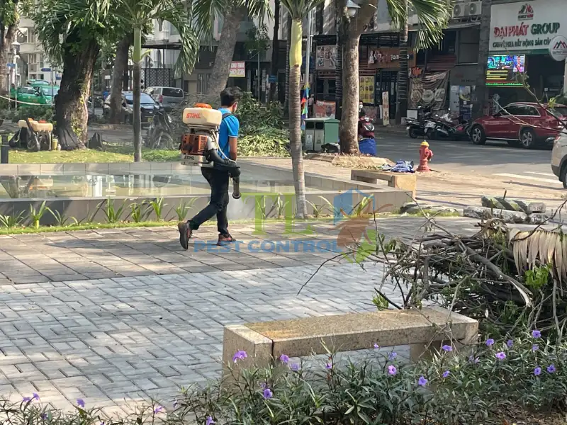 Cần sự hỗ trợ từ chuyên gia kiểm soát côn trùng khi không kiểm soát được muỗi