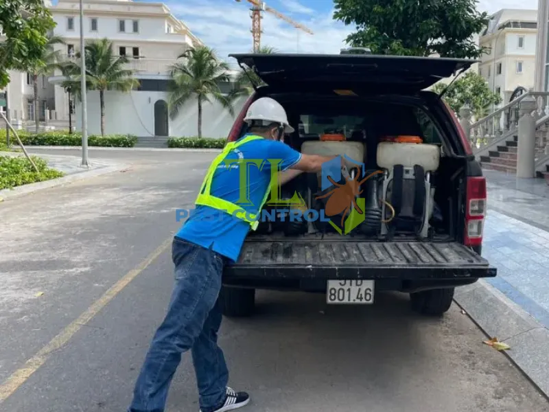 Quy trình dịch vụ diệt kiến chuyên nghiệp của Trần Long