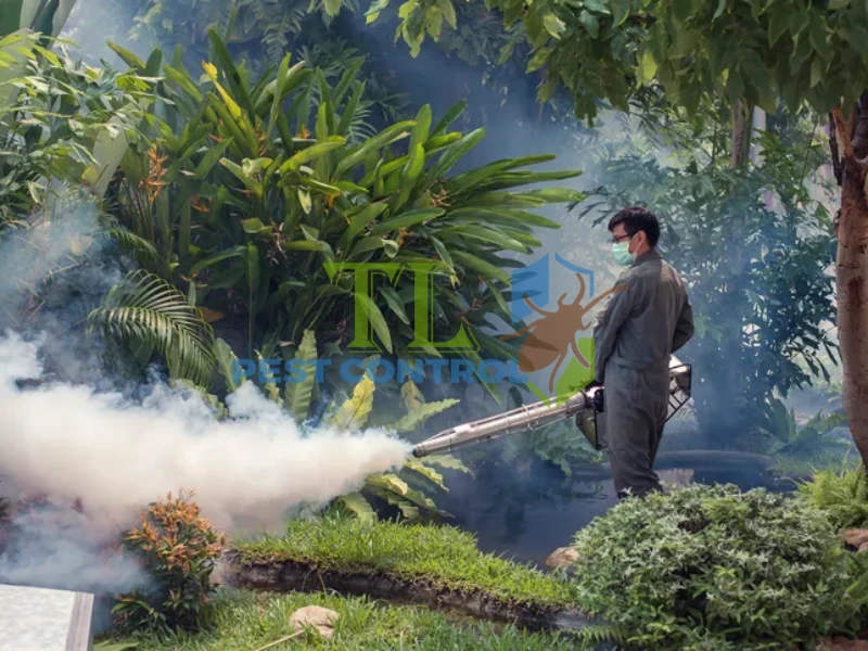 diệt muỗi khu du lịch