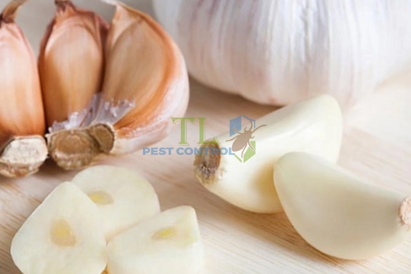 Mùi hương chống kiến Mùi hương chống kiến