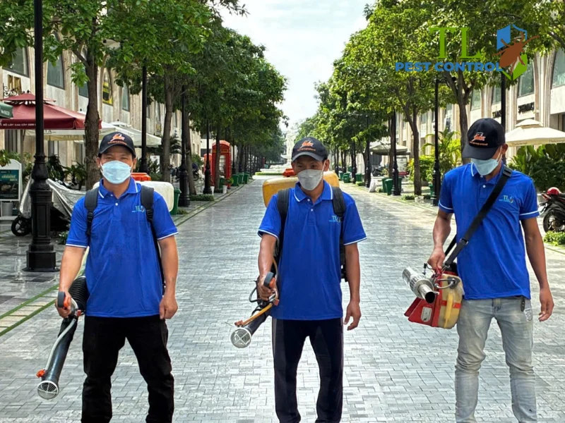 gỗ công nghiệp chống mối mọt