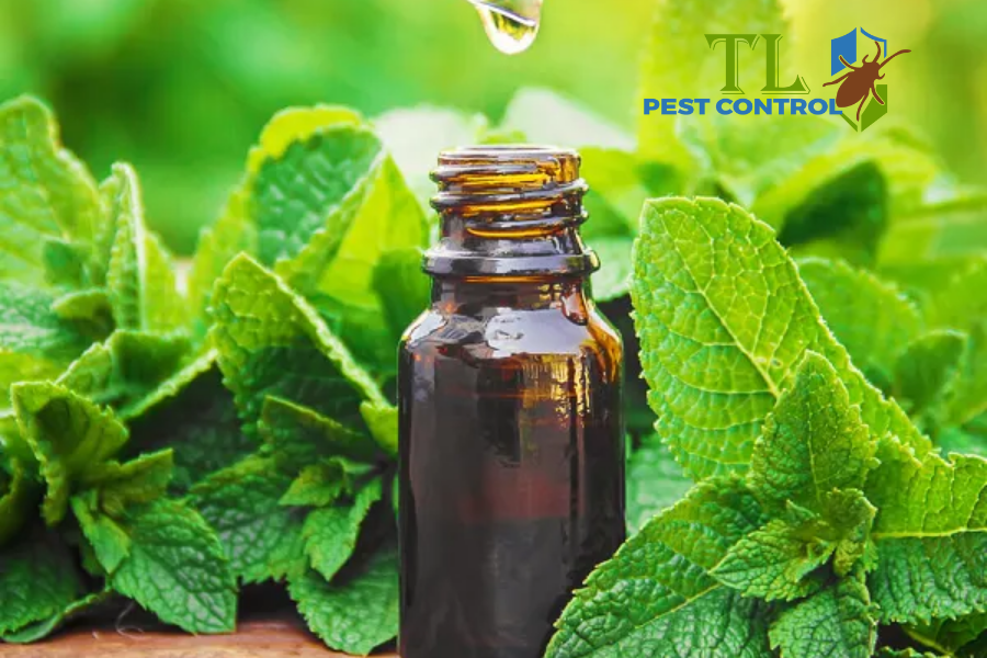 Các Loại Tinh Dầu Đuổi Bồ Hóng Hiệu Quả, An Toàn