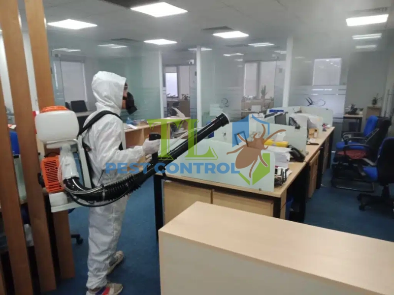 dịch vụ diệt mối cho công ty