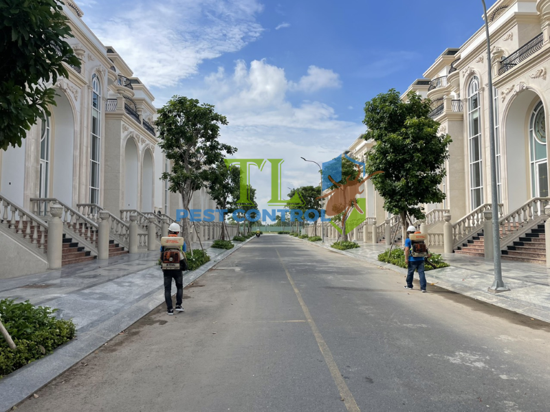 Dấu hiệu cần đến dịch vụ diệt kiến chuyên nghiệp